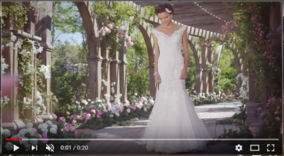 Video Jimmy's Bridal Fashion